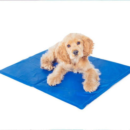 Pet Cooling Mats - DAILY AMPED
