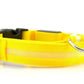 USB Rechargeable LED Dog Collar – Adjustable, Waterproof, Safety Light for Pets