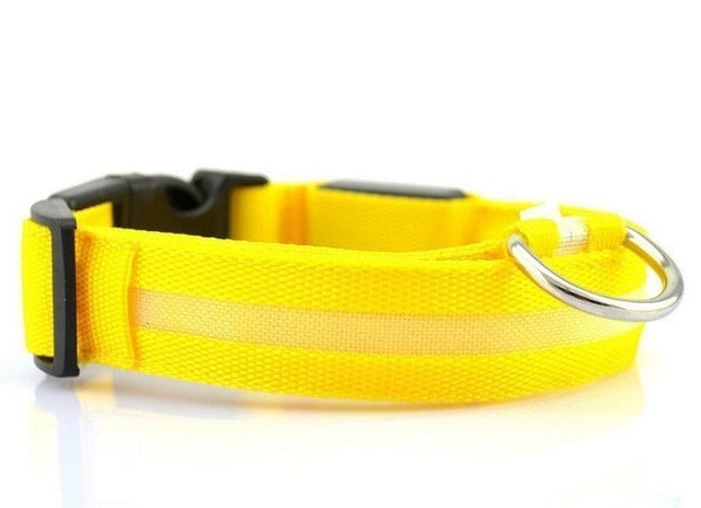 USB Rechargeable LED Dog Collar – Adjustable, Waterproof, Safety Light for Pets