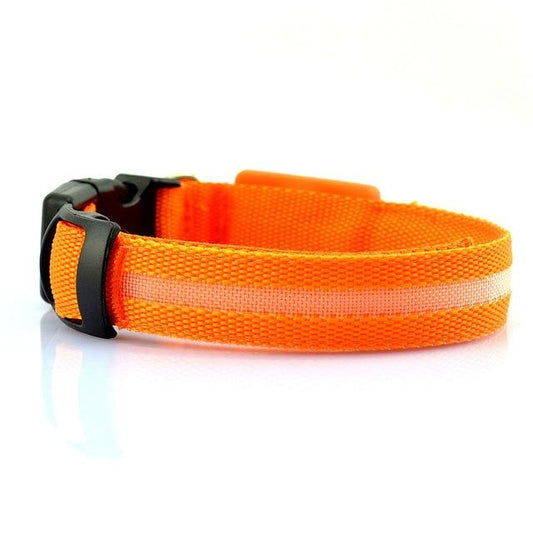 USB Rechargeable LED Dog Collar – Adjustable, Waterproof, Safety Light for Pets