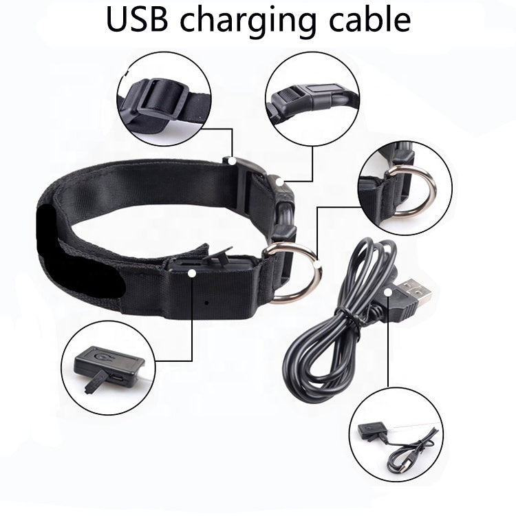 USB Rechargeable LED Dog Collar – Adjustable, Waterproof, Safety Light for Pets