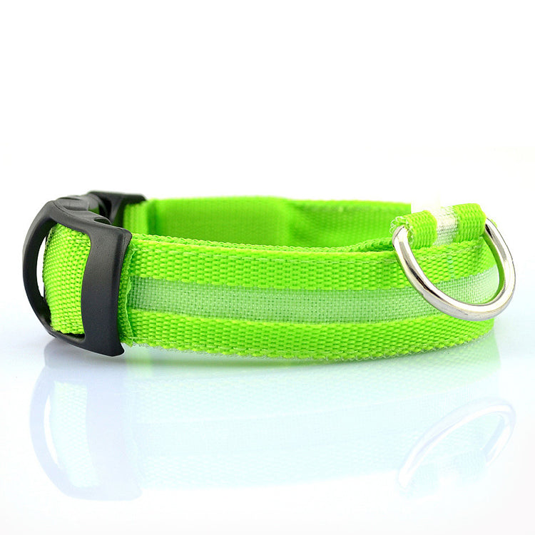 USB Rechargeable LED Dog Collar – Adjustable, Waterproof, Safety Light for Pets
